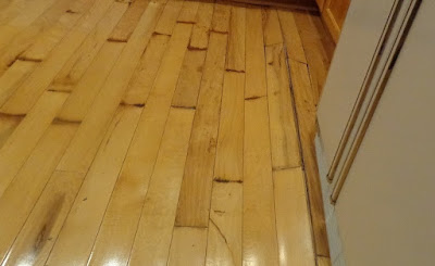 Water Damage Oak Valley 