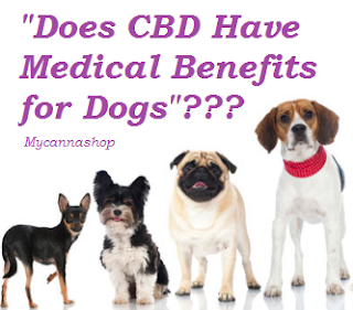 CBD and Pets Mycannashop