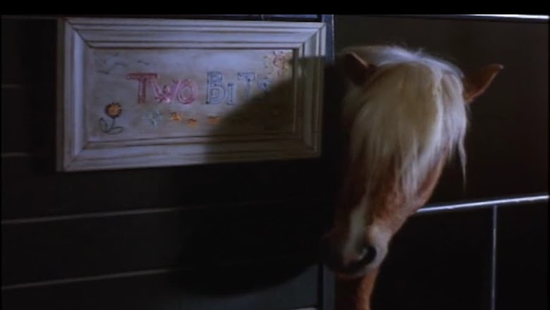 Two Bits & Pepper (1995)