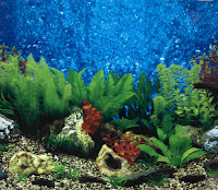 Background For Fish Tank3