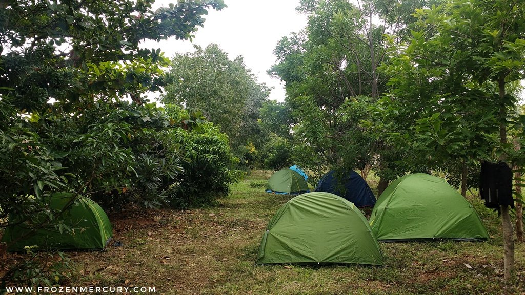 Tents at The Backyard Camp