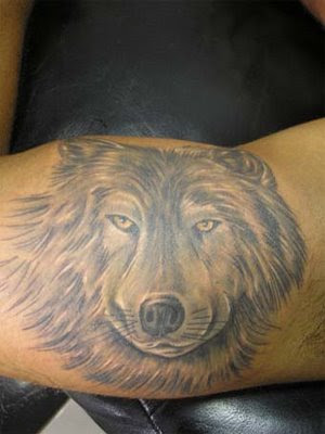 wolf tattoo. wolf tattoo on arm