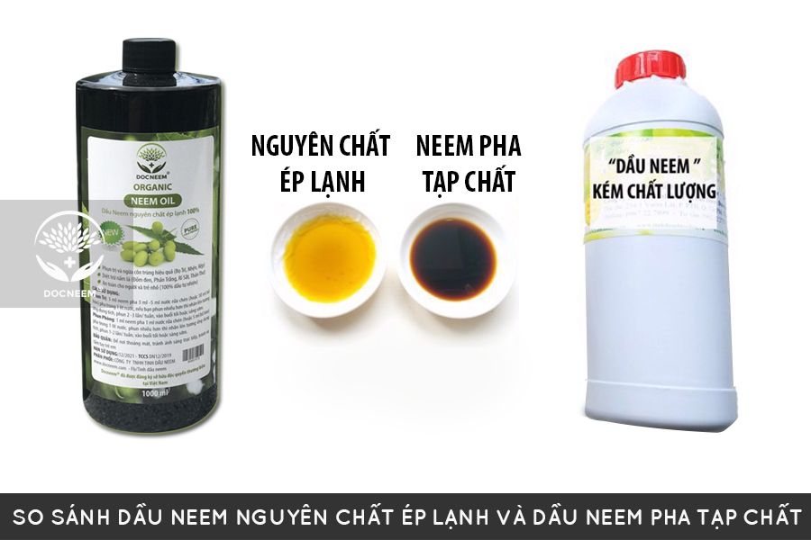 Dầu Neem nguyên chất ép lạnh Docneem có màu vàng sẫm và hăng như tỏi