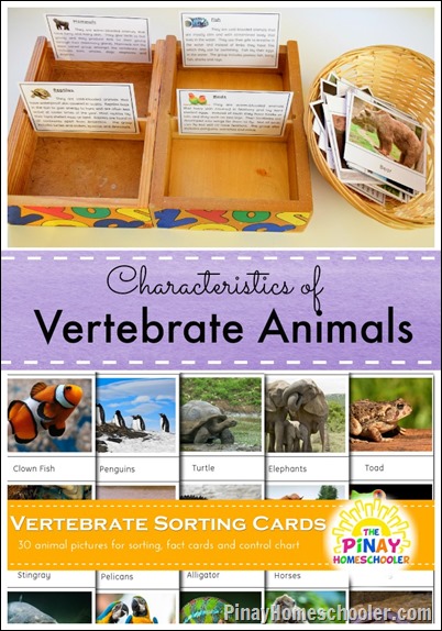 VertebratePIN