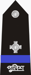 Assistant Sub Inspector (ASI) Rank Badge