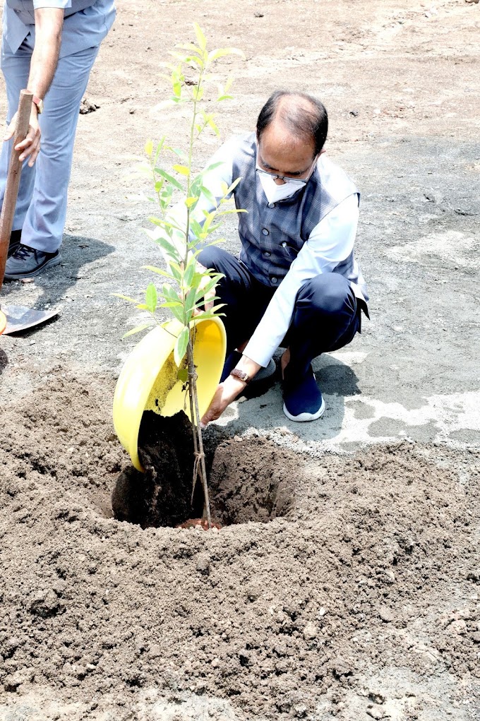  अपने प्रतिदिन एक पौधा लगाने के संकल्प के अंतर्गत मुख्यमंत्री श्री चौहान ने रूद्राक्ष का पौधा रोपा