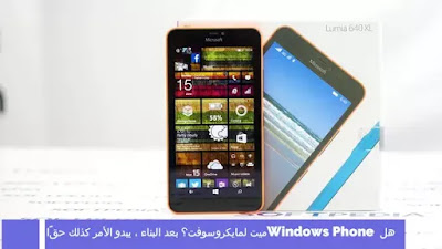 هل Windows Phone ميت لمايكروسوفت؟ بعد البناء ، يبدو الأمر كذلك حقًا