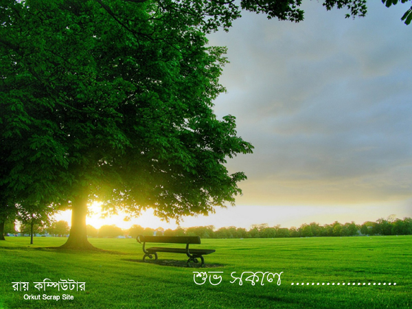 Orkut Scrap - Flowers: 1