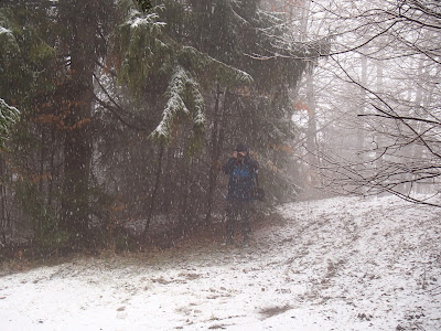 Szczawnica, szlaki turystyczne wokół Szczawnicy, Bereśnik, Bryjarka,  grzyby wiosenne, grzyby w kwietniu, atak zimy