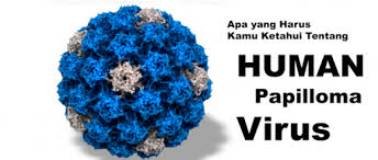 Virus Kutil Kelamin