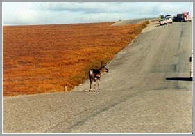 image0-33 (3)