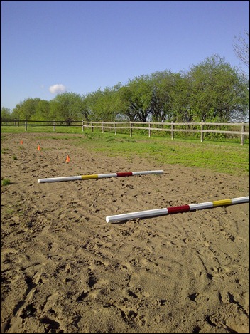 trotpoles