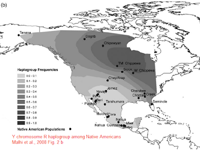 R haplogroup America map