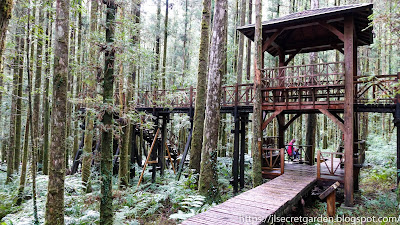 Yilan Ming Chi forest recreational area