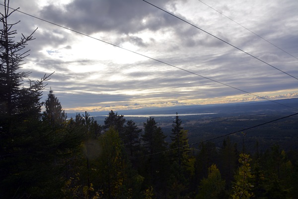 Store røstjern Ringkollen