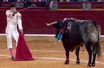 Imagen027