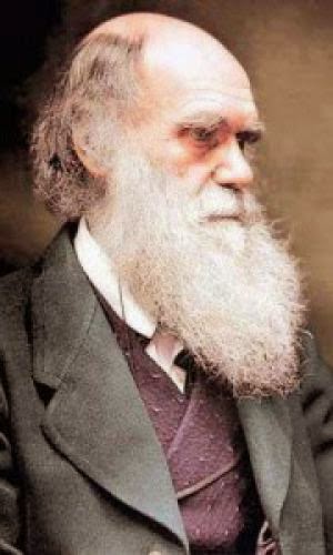 Was Darwin Wrong A New Study Asks