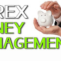 Forex Money Manager – Have You Considered This Option?