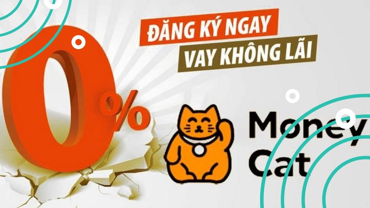 MoneyCat: 1