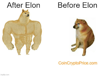 Dogecoin before and after elonmusk