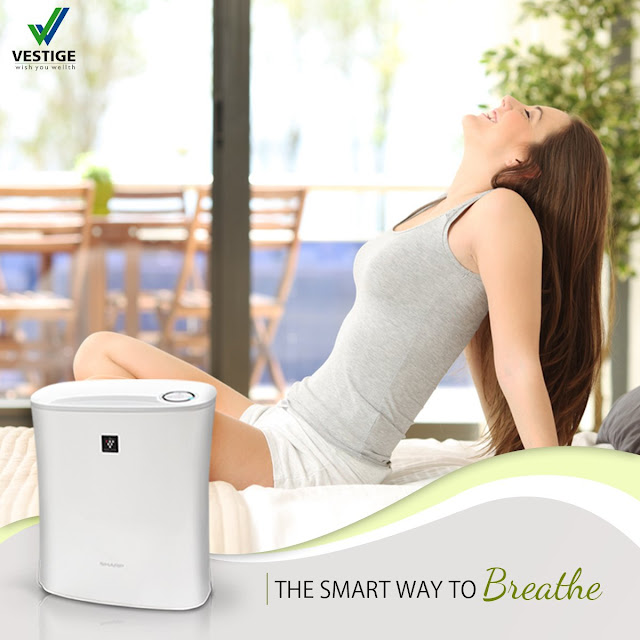 Vestige Sharp Air Purifier - Indoor Air Purifier Filter