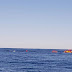 PORT ELIZABETH - DRAMATIC RESCUE OF 10 METER LONG HUMPBACK WHALE AT NOORDHOEK BEACH