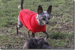 IMG_0396