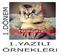  5.SINIF 1.DÖNEM 1.YAZILI