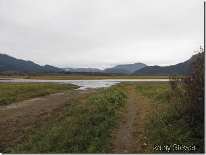 receding water