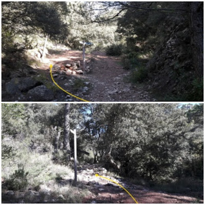 Prenafeta a Santes Creus GR-175 Ruta del Cister, camí de Figuerola en direcció a l'ermita de Sant Salvador