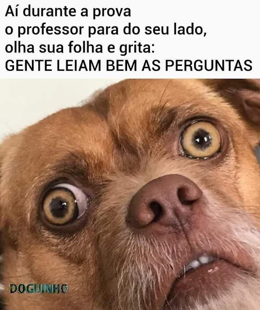 Memes engraçados