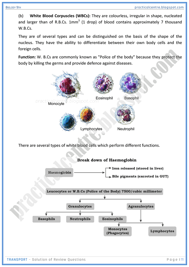 transport-review-question-answers-biology-9th-notes