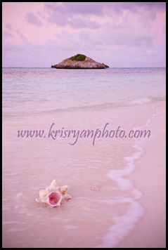 HNS_5666-Edit