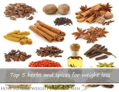 Top 5 herbs and spices for weight loss