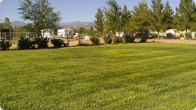 IMAG0354