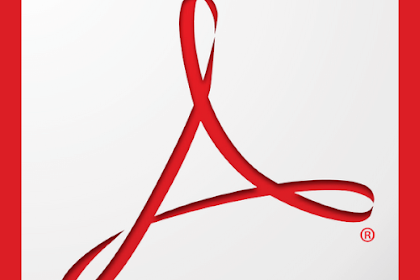 Adobe Acrobat XI Pro 11.0.23