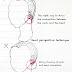 How to draw the head perspective technique