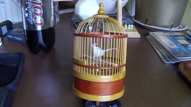 Singing Mechanical Birds