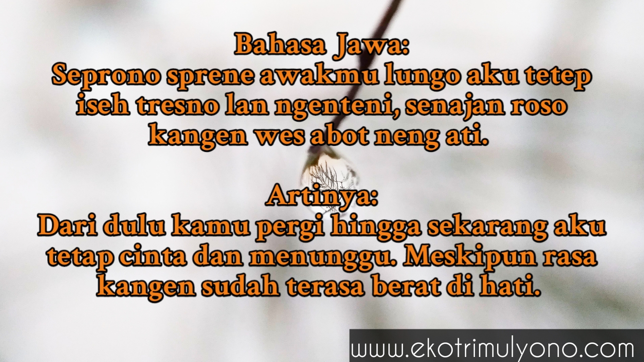 Kata Kata Kangen Bahasa Jawa Dan Artinya, Pengen Nangis :( - Eko Trimulyono