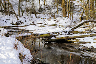 Wilket Creek in Windfields Park, Toronto