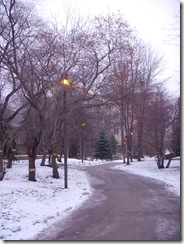 DSCN7968