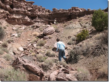 2012-04-15 Petrified Wood, Fry Canyon, UT (65)