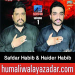 http://www.humaliwalayazadar.com/2017/08/safdar-habib-haider-habib-nohay-2018.html