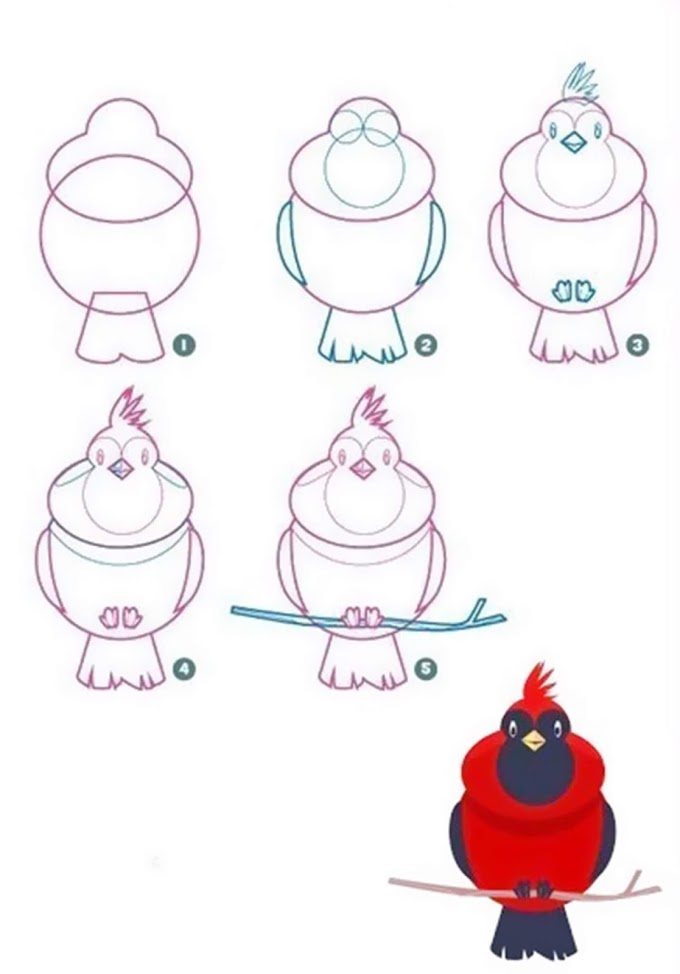 Easy animal drawings simple for kids step by step