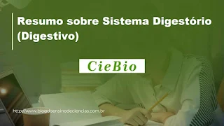 Resumo sobre Sistema Digestório (Digestivo)