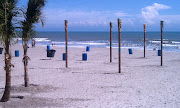 The City of Cocoa Beach installed this strange arrangement of six extratall . (beach tikis coconuts)