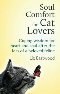 Soul Comfort for Cat Lovers: Coping Wisdom for Heart and Soul After the Loss of a Beloved Feline