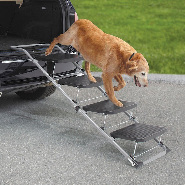 Choosing the Perfect Pet Ramp: A Comprehensive Guide