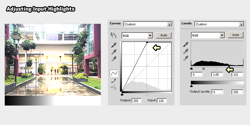 Adjust Input Highlights