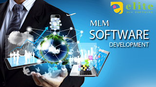 MLM Software Development